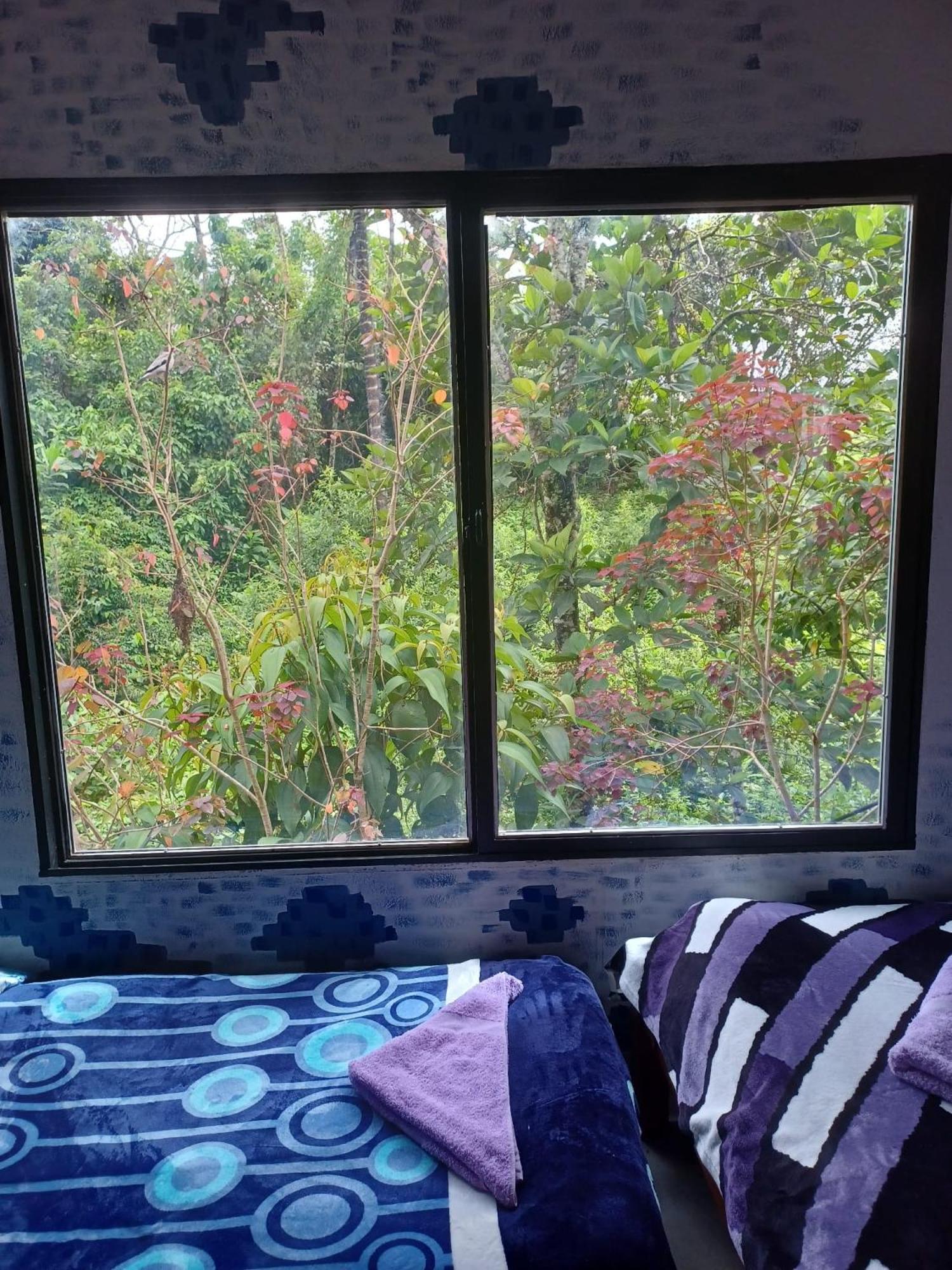 Hospedaje Pa'Gaia 圣拉菲尔 外观 照片